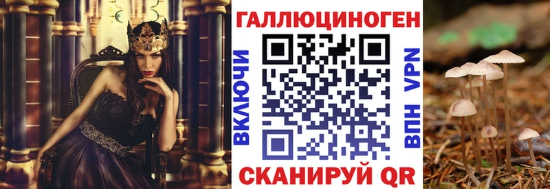 Купить  Домодедово  Псилоцибиновые грибы Cubensis